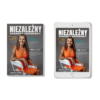 e-book-niezalezny-doradca-zawodowy-ksiazka-dla-doradcow-kariery-sposoby-na-pozyskiwanie-klientow-jak-nie-bac-sie-sprzedawac-doradca-zawodowy Książka "Niezależny Doradca Zawodowy" + webinar o pieniądzach i zarabianiu